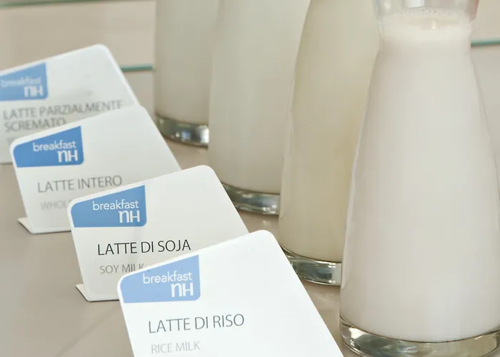 酒店 Nh拉斯伯泽亚酒店